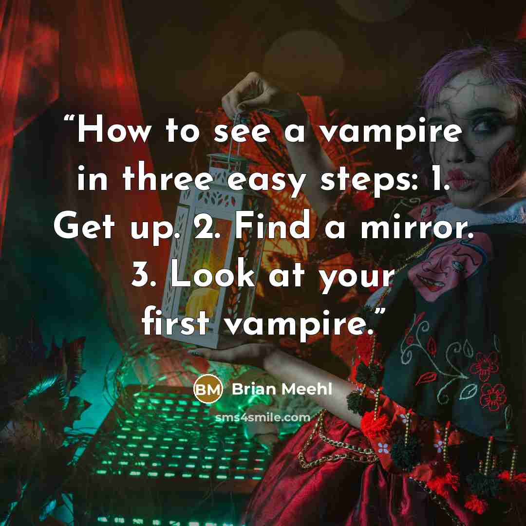 “How to see a vampire in three easy steps: 1. Get up. 2. Find a mirror. 3. Look at your first vampire.” quote by Brian Meehl