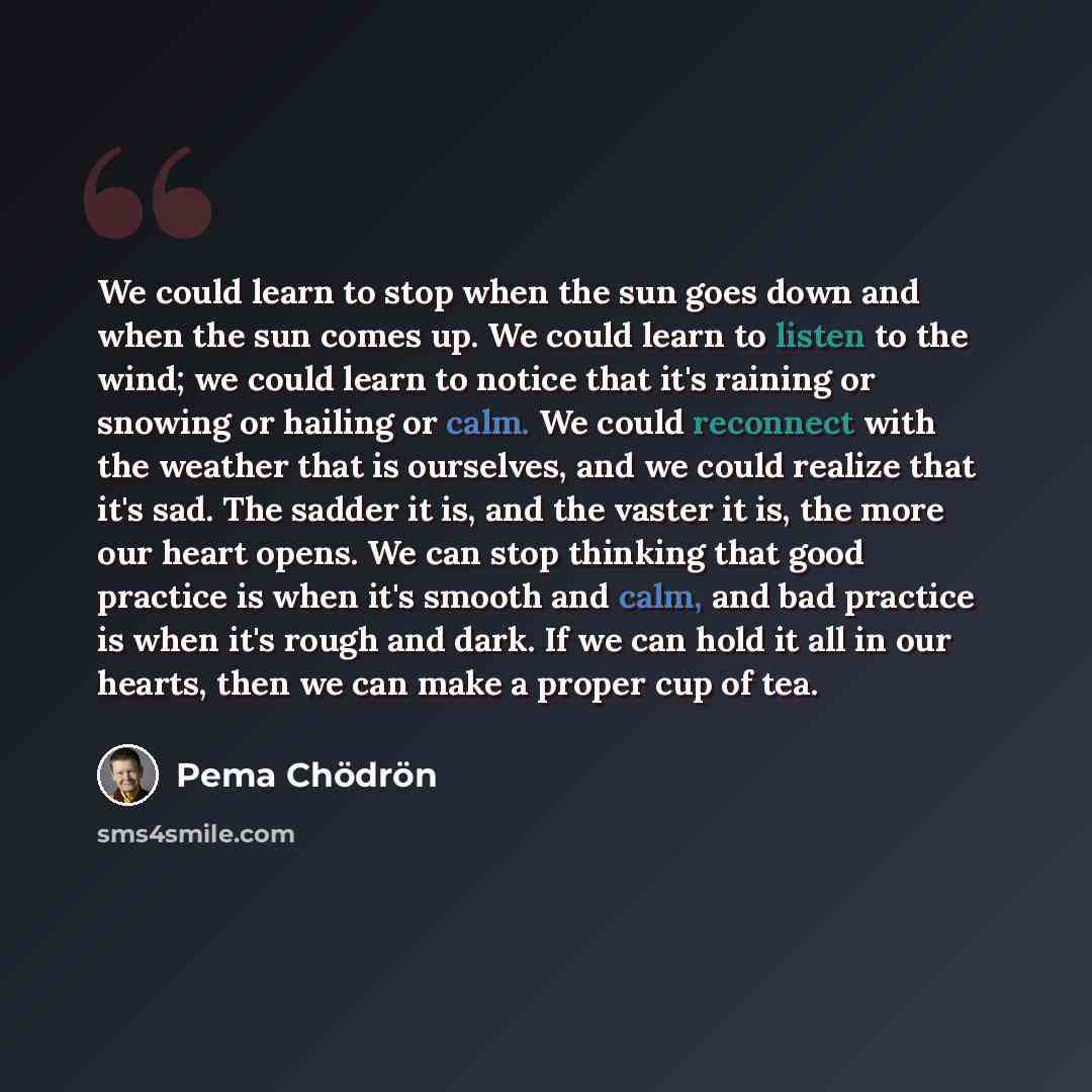 “We could learn to stop when the sun goes down and when the sun comes up. We could learn to listen to the wind; we could learn to notice that it's raining or snowing or hailing or calm. We could reconnect with the weather that is ourselves, and we could realize that it's sad. The sadder it is, and…” quote by Pema Chodron