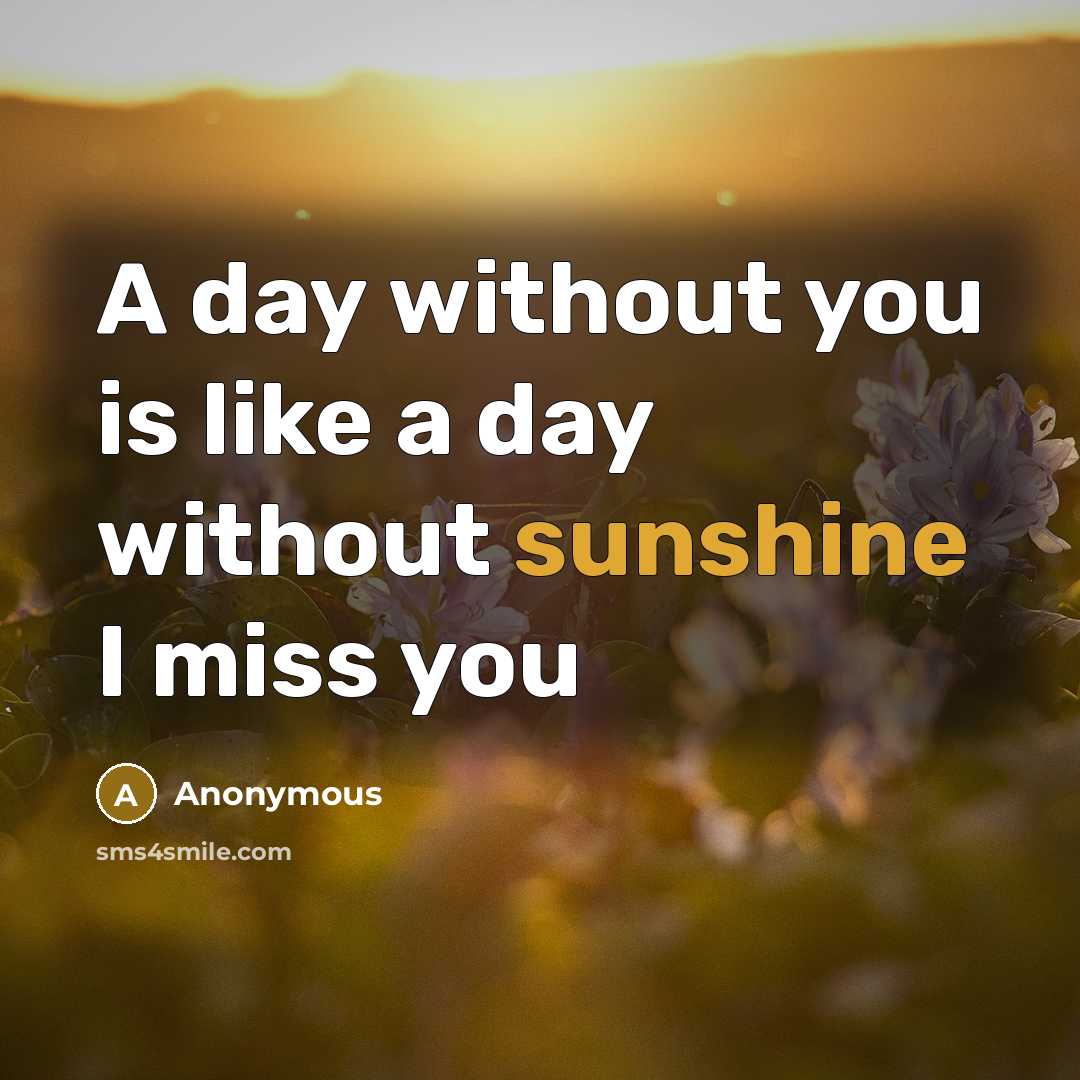 “A day without you is like a day without sunshine I miss you” quote by Anonymous