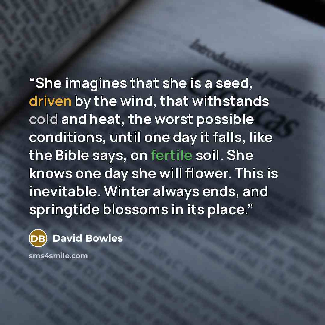 “She imagines that she is a seed, driven by the wind, that withstands cold and heat, the worst possible conditions, until one day it falls, like the Bible says, on fertile soil. She knows one day she will flower. This is inevitable. Winter always ends, and springtide blossoms in its place.” quote by David Bowles