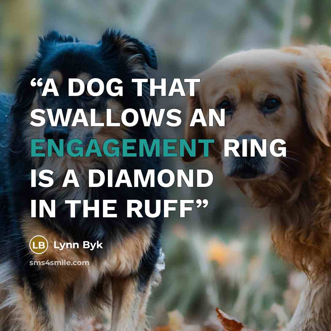 “A DOG THAT SWALLOWS AN ENGAGEMENT RING IS A DIAMOND IN THE RUFF” quote by Lynn Byk