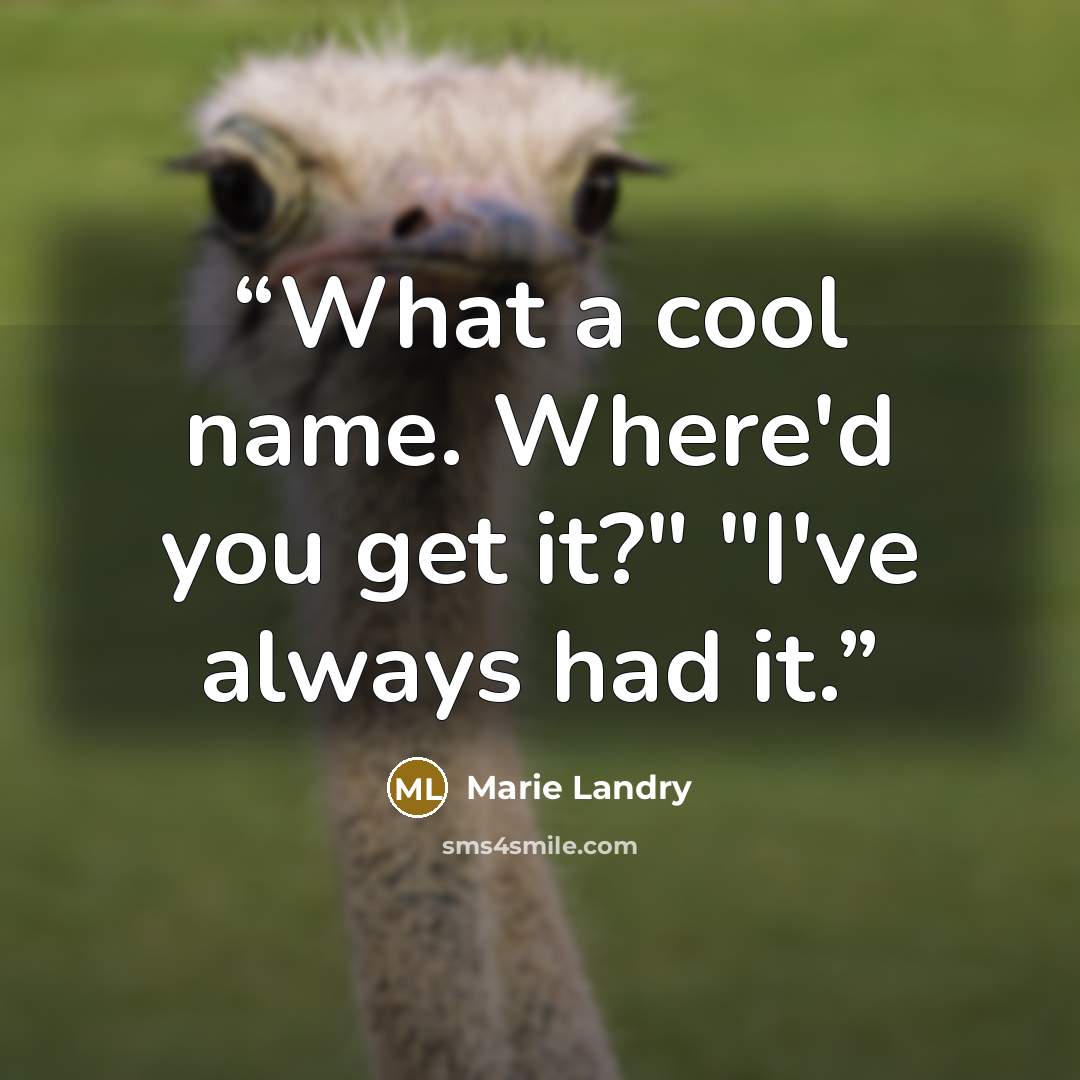 “What a cool name. Where'd you get it?" "I've always had it.” quote by Marie Landry