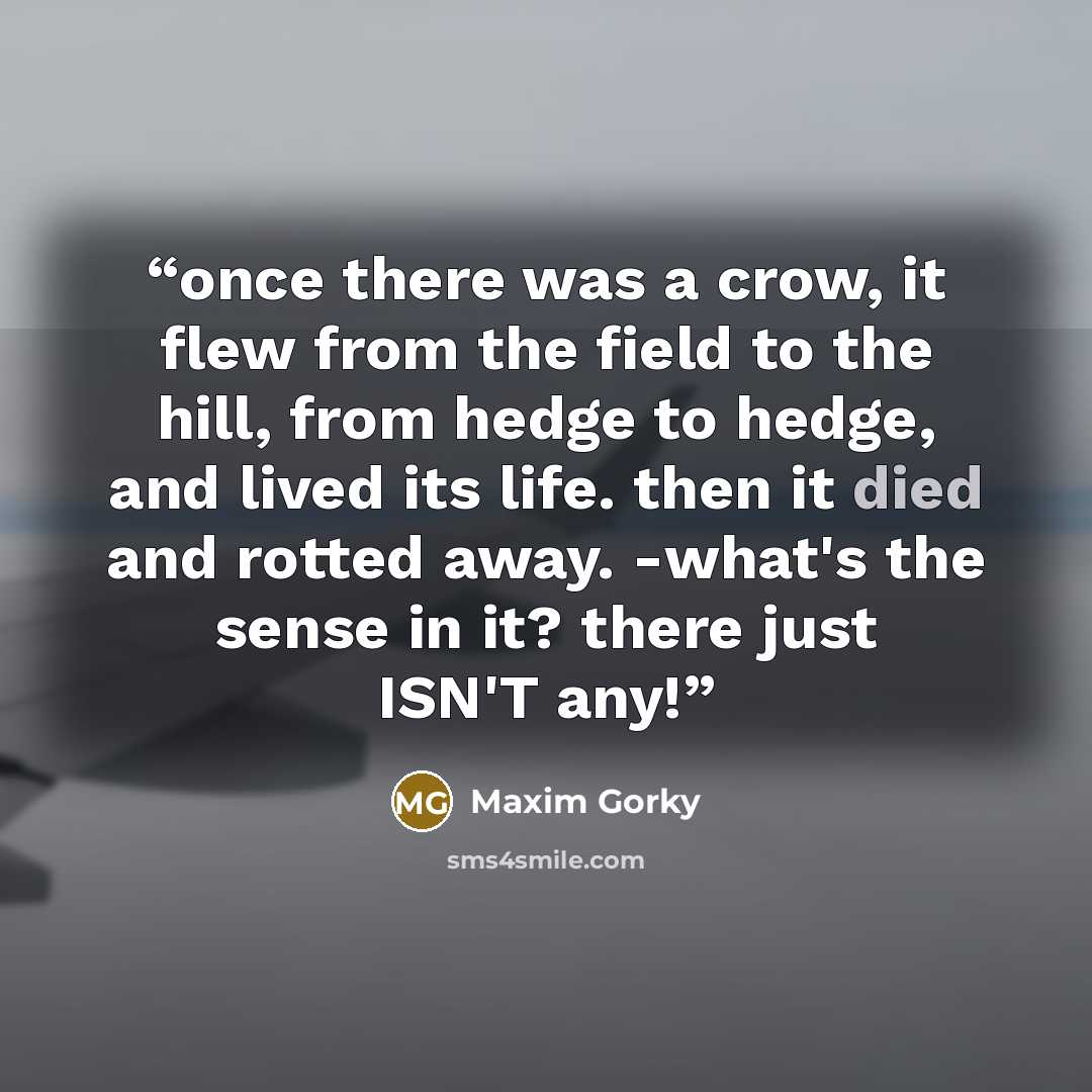 “once there was a crow, it flew from the field to the hill, from hedge to hedge, and lived its life. then it died and rotted away. -what's the sense in it? there just ISN'T any!” quote by Maxim Gorky