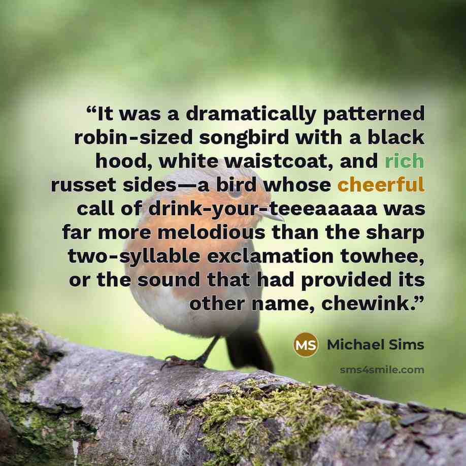 “It was a dramatically patterned robin-sized songbird with a black hood, white waistcoat, and rich russet sides—a bird whose cheerful call of drink-your-teeeaaaaa was far more melodious than the sharp two-syllable exclamation towhee, or the sound that had provided its other name, chewink.” quote by Michael Sims