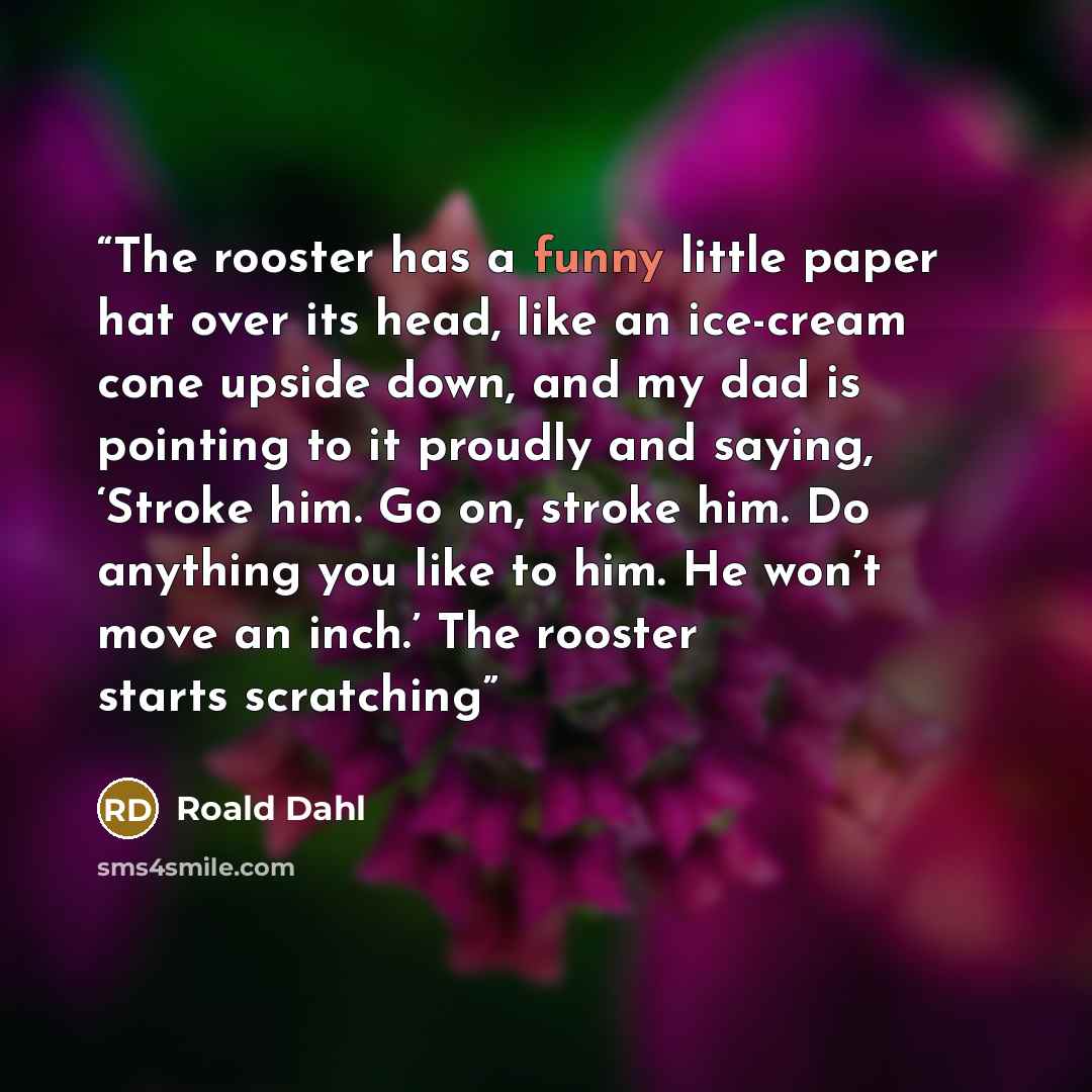 “The rooster has a funny little paper hat over its head, like an ice-cream cone upside down, and my dad is pointing to it proudly and saying, ‘Stroke him. Go on, stroke him. Do anything you like to him. He won’t move an inch.’ The rooster starts scratching” quote by Roald Dahl