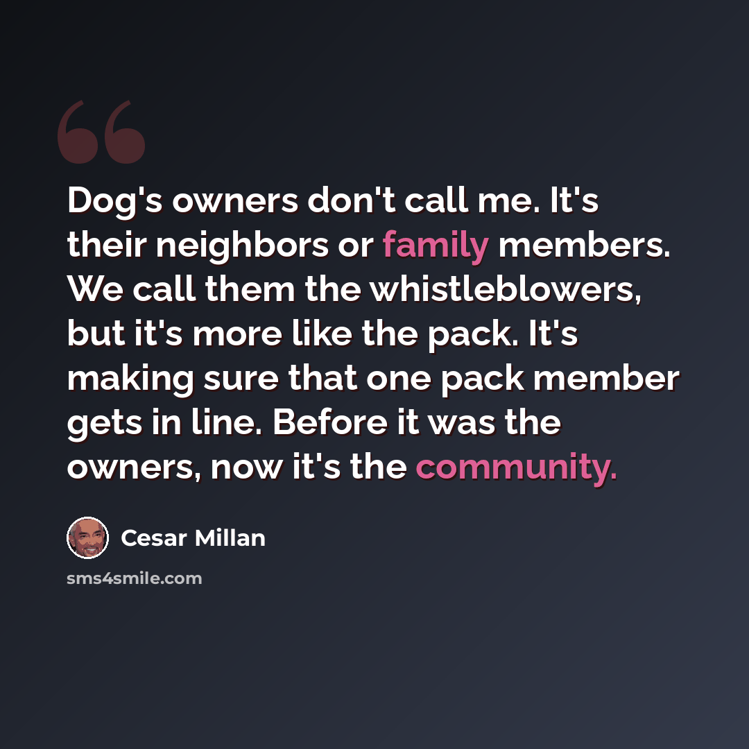 “Dog's owners don't call me. It's their neighbors or family members. We call them the whistleblowers, but it's more like the pack. It's making sure that one pack member gets in line. Before it was the owners, now it's the community.” quote by Cesar Millan