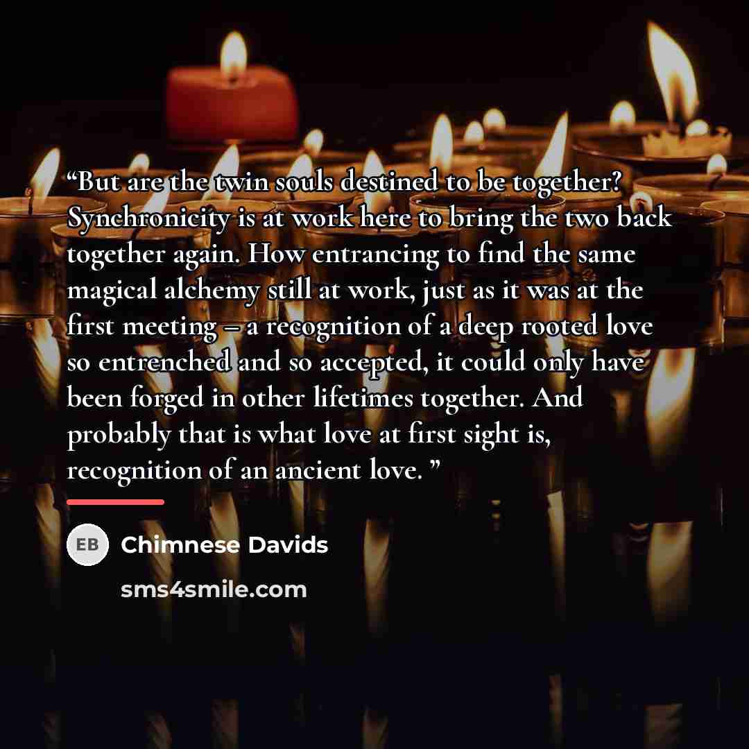 “But are the twin souls destined to be together? Synchronicity is at work here to bring the two back together again. How entrancing to find the same magical alchemy still at work, just as it was at the first meeting – a recognition of a deep rooted love so entrenched and so accepted, it could only…” quote by Chimnese Davids