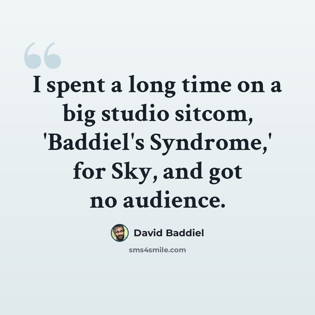 “I spent a long time on a big studio sitcom, 'Baddiel's Syndrome,' for Sky, and got no audience.” quote by David Baddiel