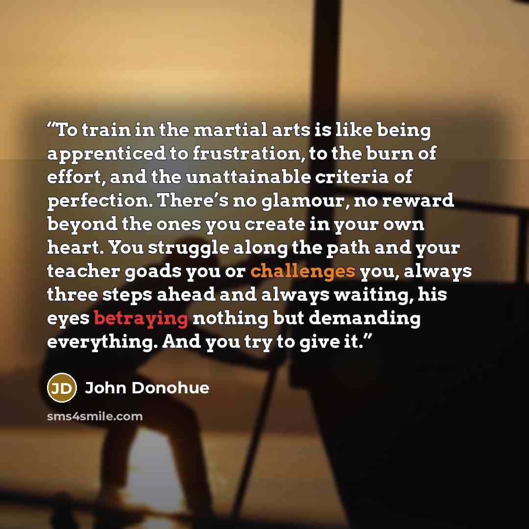 “To train in the martial arts is like being apprenticed to frustration, to the burn of effort, and the unattainable criteria of perfection. There’s no glamour, no reward beyond the ones you create in your own heart. You struggle along the path and your teacher goads you or challenges you, always…” quote by John Donohue