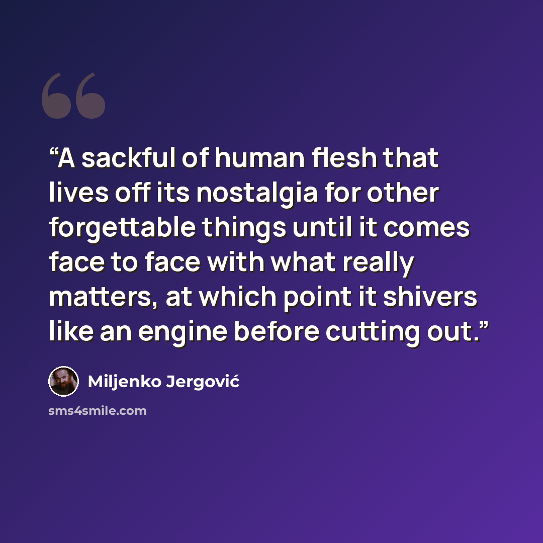 “A sackful of human flesh that lives off its nostalgia for other forgettable things until it comes face to face with what really matters, at which point it shivers like an engine before cutting out.” quote by Miljenko Jergovic