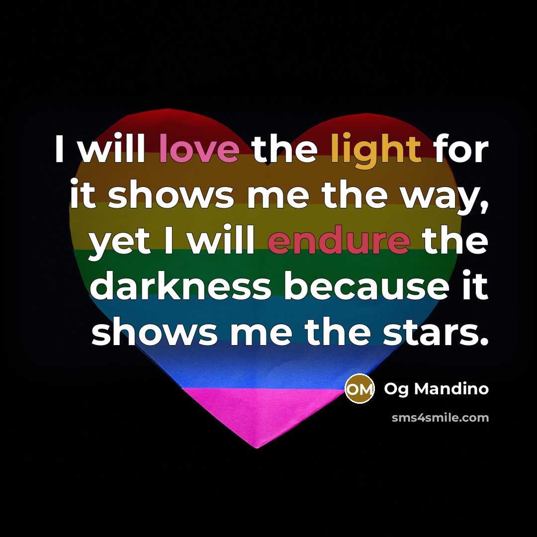 “I will love the light for it shows me the way, yet I will endure the darkness because it shows me the stars.” quote by Og Mandino