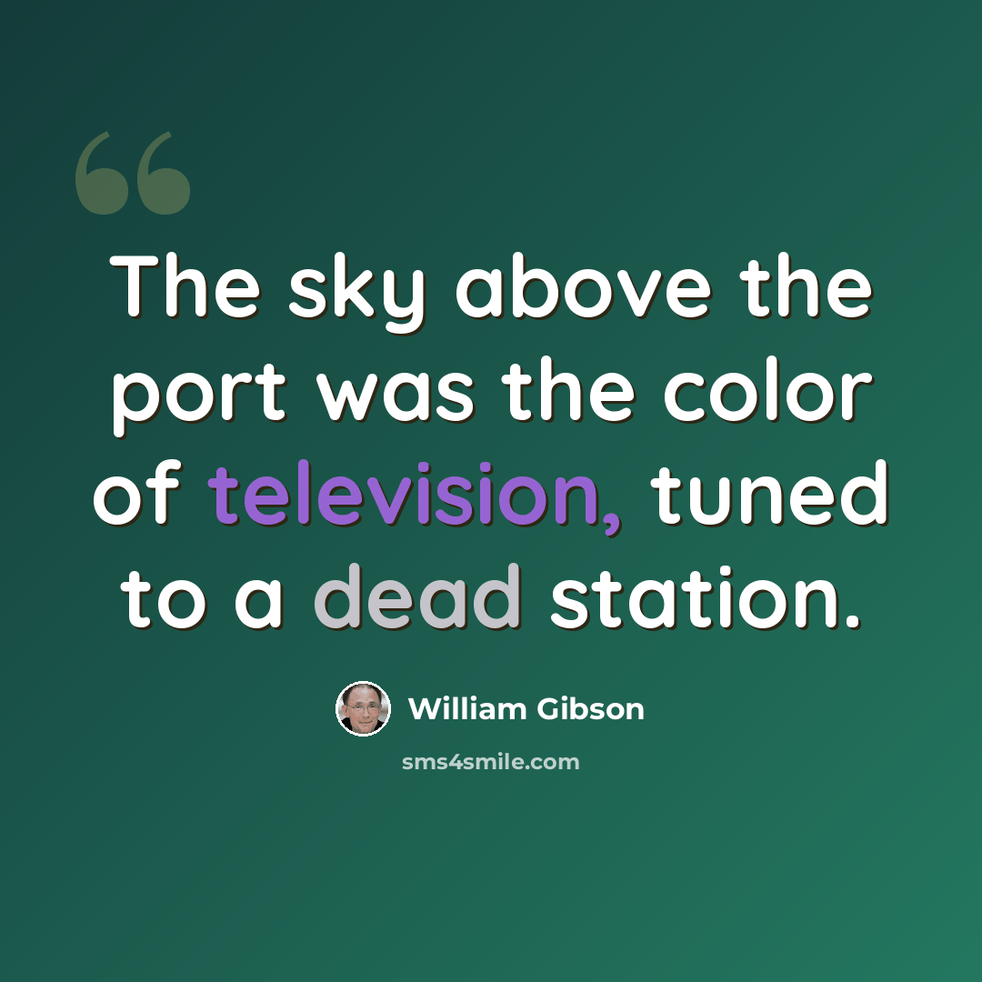“The sky above the port was the color of television, tuned to a dead station.” quote by William Gibson