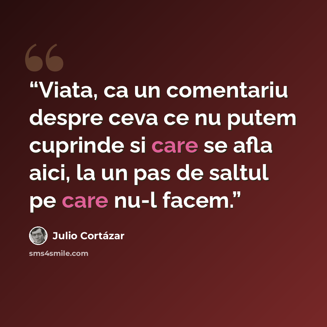 “Viata, ca un comentariu despre ceva ce nu putem cuprinde si care se afla aici, la un pas de saltul pe care nu-l facem.” quote by Julio Cortázar