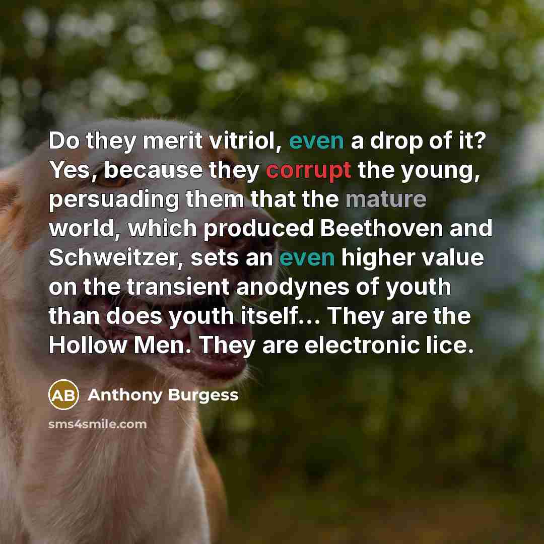“Do they merit vitriol, even a drop of it? Yes, because they corrupt the young, persuading them that the mature world, which produced Beethoven and Schweitzer, sets an even higher value on the transient anodynes of youth than does youth itself… They are the Hollow Men. They are electronic lice.” quote by Anthony Burgess