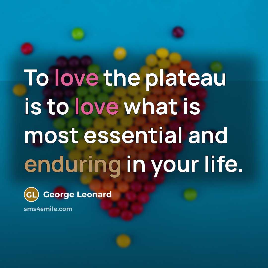 “To love the plateau is to love what is most essential and enduring in your life.” quote by George Leonard