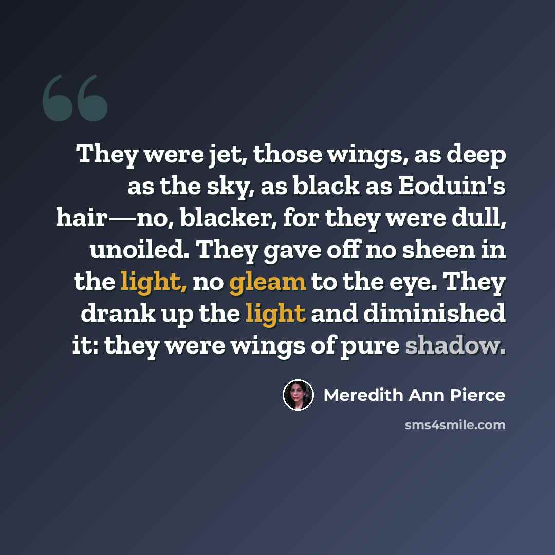 “They were jet, those wings, as deep as the sky, as black as Eoduin's hair—no, blacker, for they were dull, unoiled. They gave off no sheen in the light, no gleam to the eye. They drank up the light and diminished it: they were wings of pure shadow.” quote by Meredith Ann Pierce