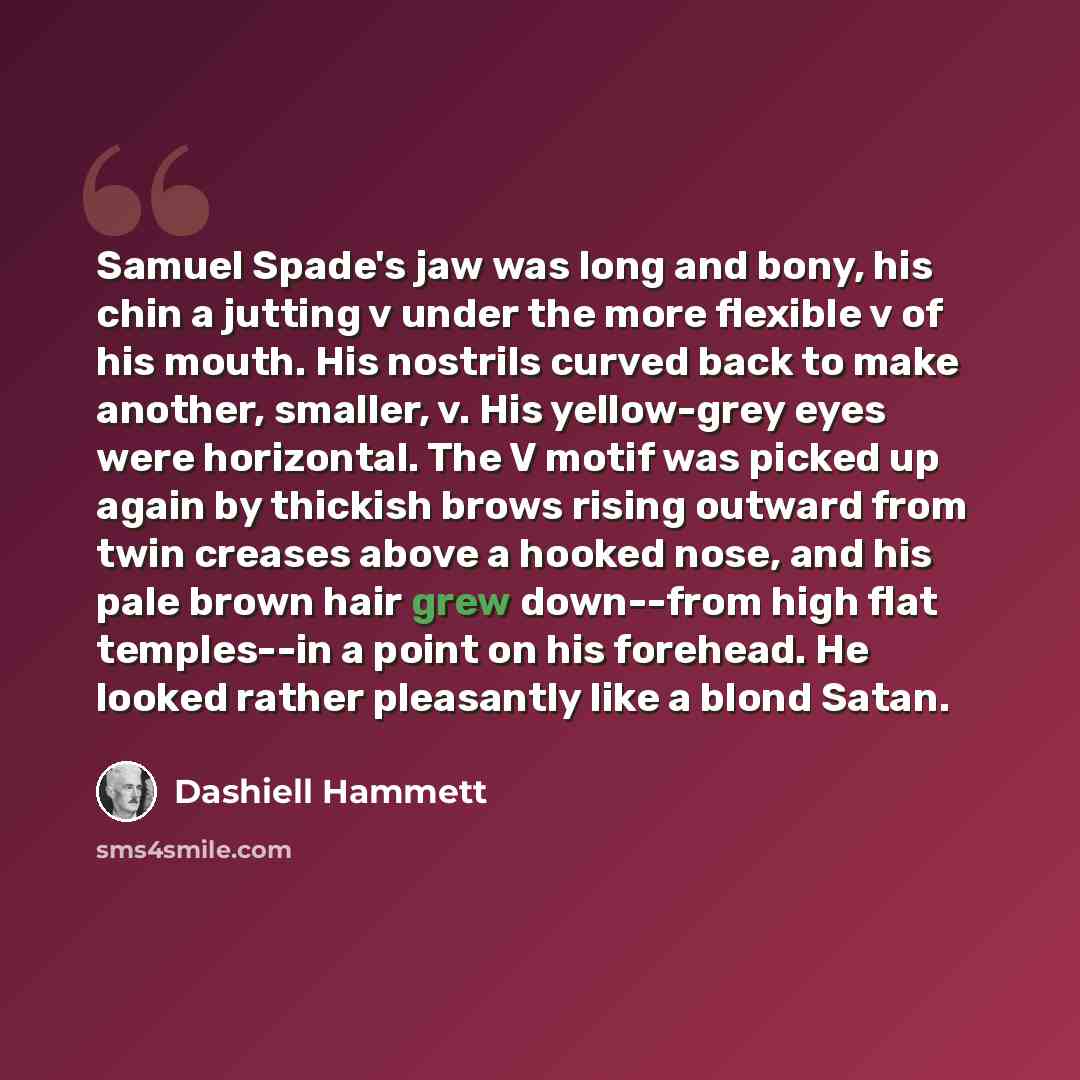 “Samuel Spade's jaw was long and bony, his chin a jutting v under the more flexible v of his mouth. His nostrils curved back to make another, smaller, v. His yellow-grey eyes were horizontal. The V motif was picked up again by thickish brows rising outward from twin creases above a hooked nose, and…” quote by Dashiell Hammett