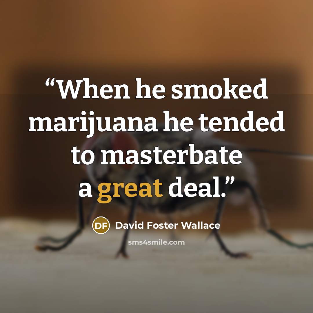 “When he smoked marijuana he tended to masterbate a great deal.” quote by David Foster Wallace