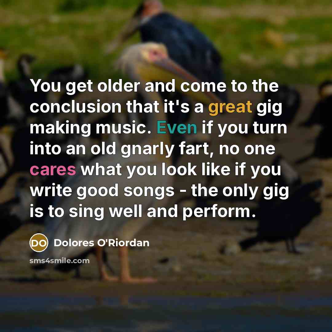 “You get older and come to the conclusion that it's a great gig making music. Even if you turn into an old gnarly fart, no one cares what you look like if you write good songs - the only gig is to sing well and perform.” quote by Dolores O'Riordan