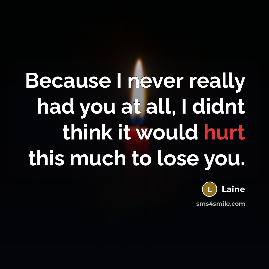 “Because I never really had you at all, I didnt think it would hurt this much to lose you.” quote by Laine