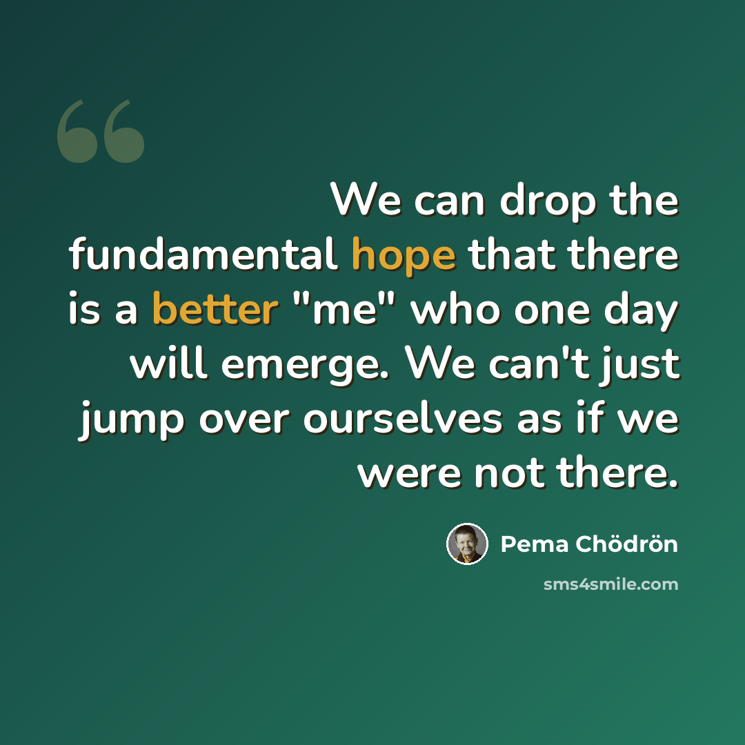 “We can drop the fundamental hope that there is a better "me" who one day will emerge. We can't just jump over ourselves as if we were not there.” quote by Pema Chodron