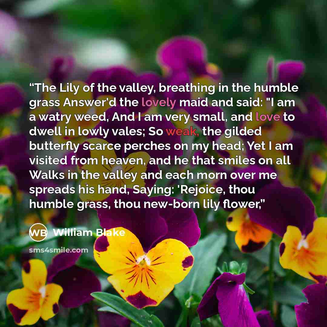“The Lily of the valley, breathing in the humble grass Answer'd the lovely maid and said: "I am a watry weed, And I am very small, and love to dwell in lowly vales; So weak, the gilded butterfly scarce perches on my head; Yet I am visited from heaven, and he that smiles on all Walks in the valley…” quote by William Blake