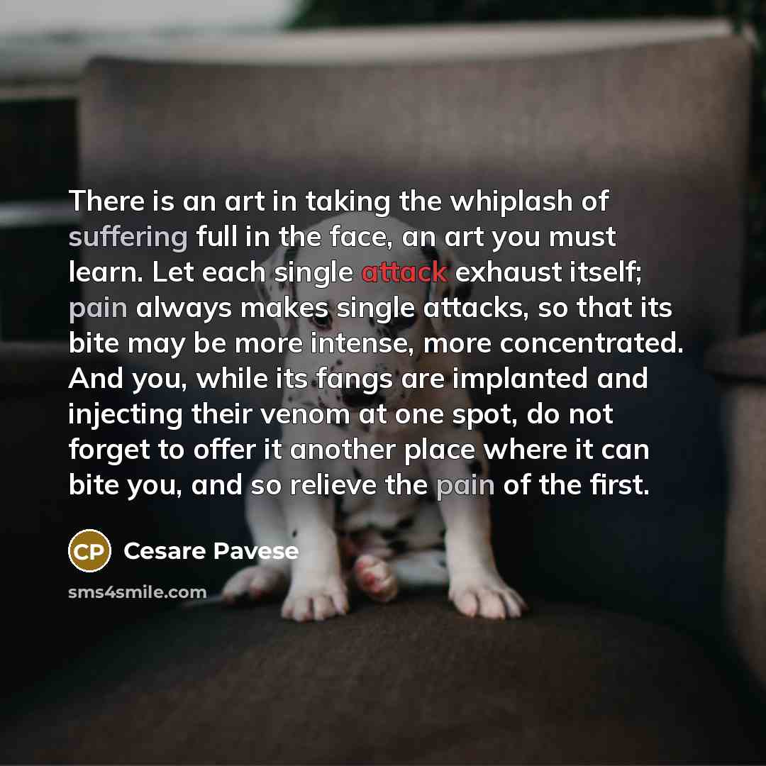 “There is an art in taking the whiplash of suffering full in the face, an art you must learn. Let each single attack exhaust itself; pain always makes single attacks, so that its bite may be more intense, more concentrated. And you, while its fangs are implanted and injecting their venom at one…” quote by Cesare Pavese