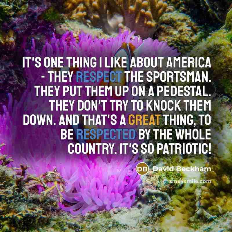 “It's one thing I like about America - they respect the sportsman. They put them up on a pedestal. They don't try to knock them down. And that's a great thing, to be respected by the whole country. It's so patriotic!” quote by David Beckham