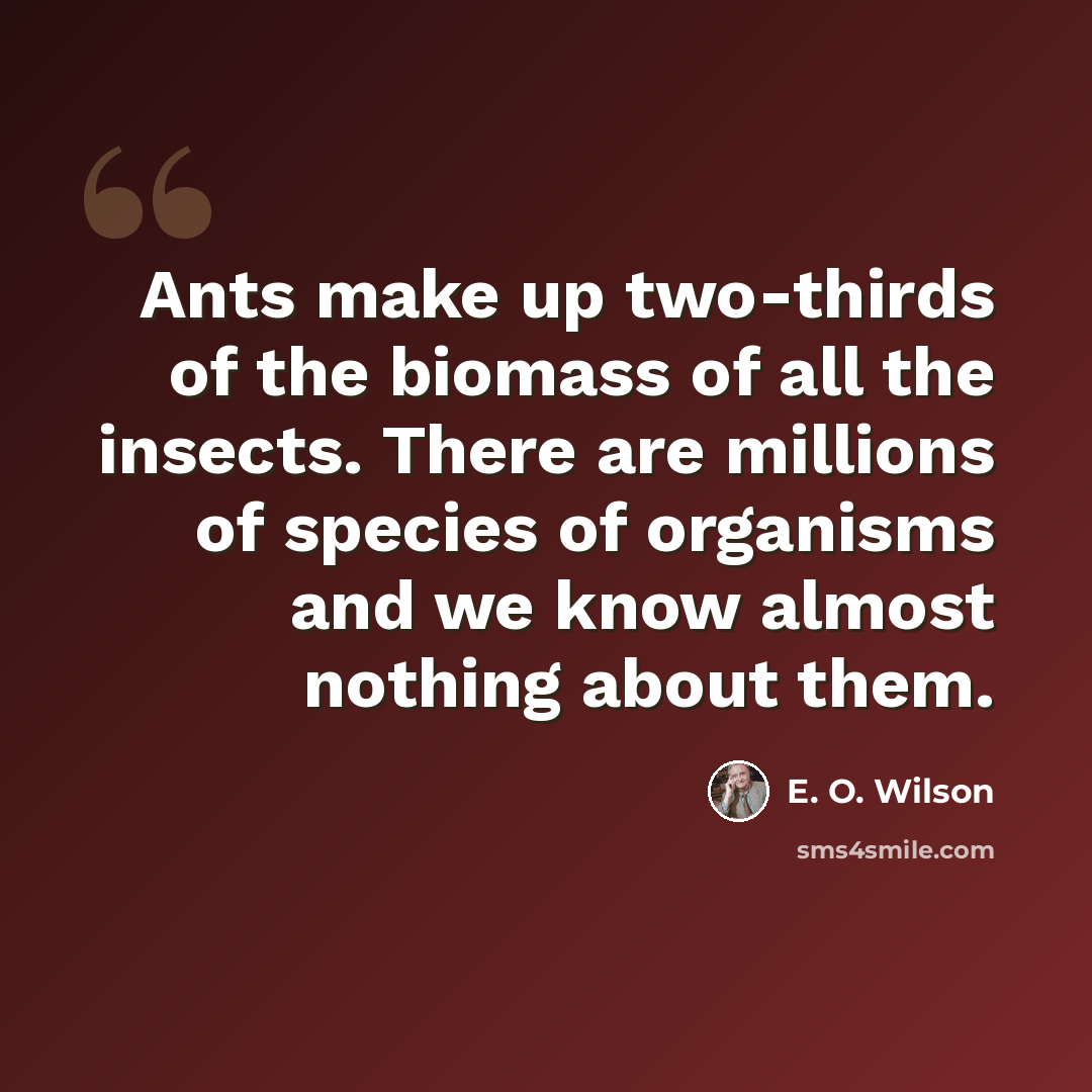 “Ants make up two-thirds of the biomass of all the insects. There are millions of species of organisms and we know almost nothing about them.” quote by E. O. Wilson