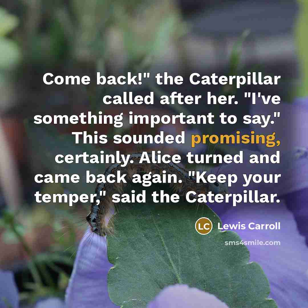 “Come back!" the Caterpillar called after her. "I've something important to say." This sounded promising, certainly. Alice turned and came back again. "Keep your temper," said the Caterpillar.” quote by Lewis Carroll