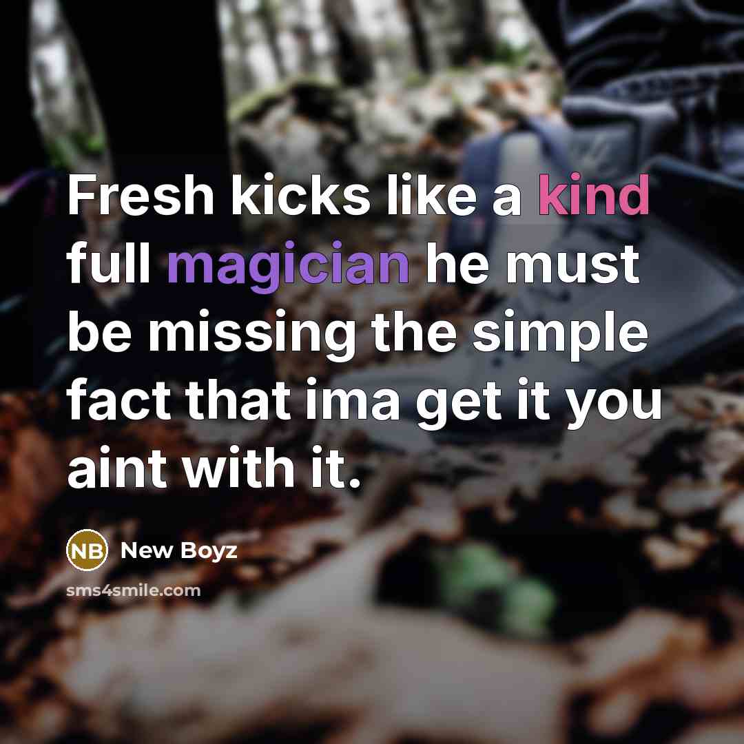 “Fresh kicks like a kind full magician he must be missing the simple fact that ima get it you aint with it.” quote by New Boyz