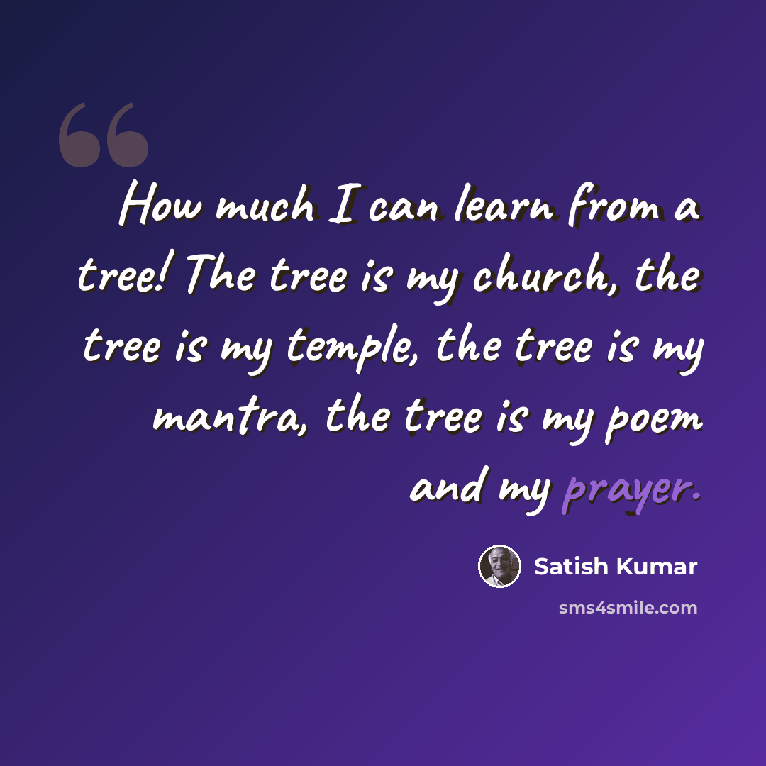 “How much I can learn from a tree! The tree is my church, the tree is my temple, the tree is my mantra, the tree is my poem and my prayer.” quote by Satish Kumar