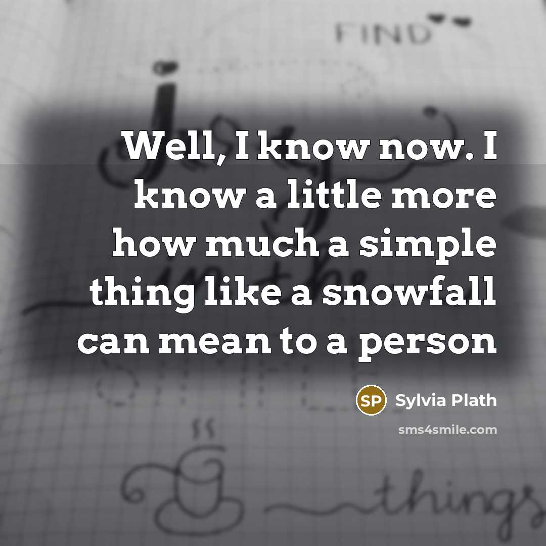“Well, I know now. I know a little more how much a simple thing like a snowfall can mean to a person” quote by Sylvia Plath