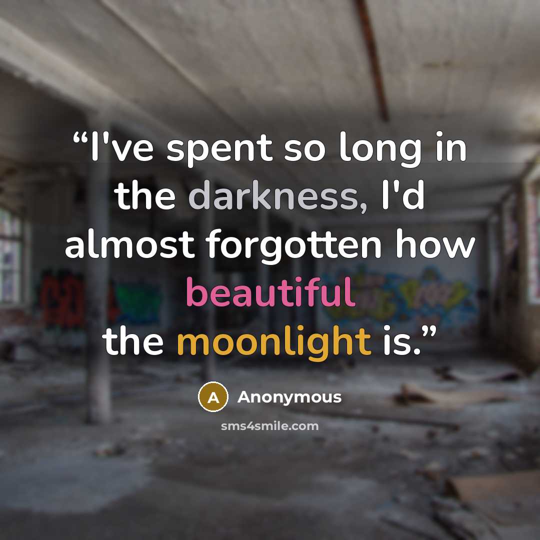 “I've spent so long in the darkness, I'd almost forgotten how beautiful the moonlight is.” quote by Anonymous