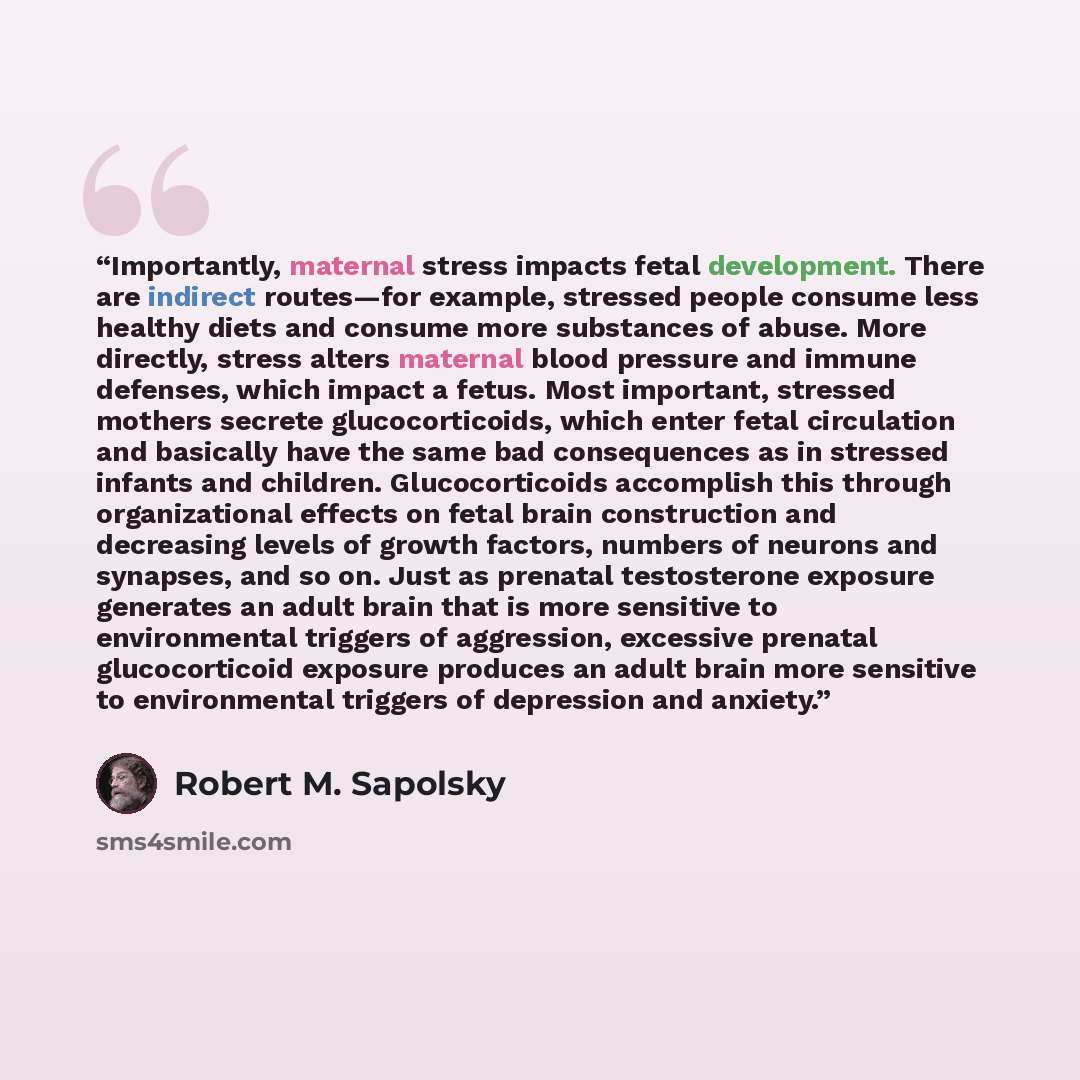 “Importantly, maternal stress impacts fetal development. There are indirect routes—for example, stressed people consume less healthy diets and consume more substances of abuse. More directly, stress alters maternal blood pressure and immune defenses, which impact a fetus. Most important, stressed…” quote by Robert M. Sapolsky