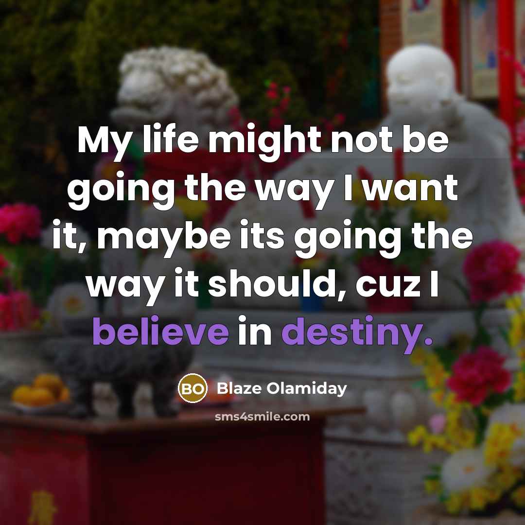 “My life might not be going the way I want it, maybe its going the way it should, cuz I believe in destiny.” quote by Blaze Olamiday