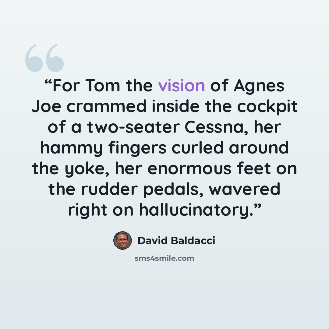 “For Tom the vision of Agnes Joe crammed inside the cockpit of a two-seater Cessna, her hammy fingers curled around the yoke, her enormous feet on the rudder pedals, wavered right on hallucinatory.” quote by David Baldacci