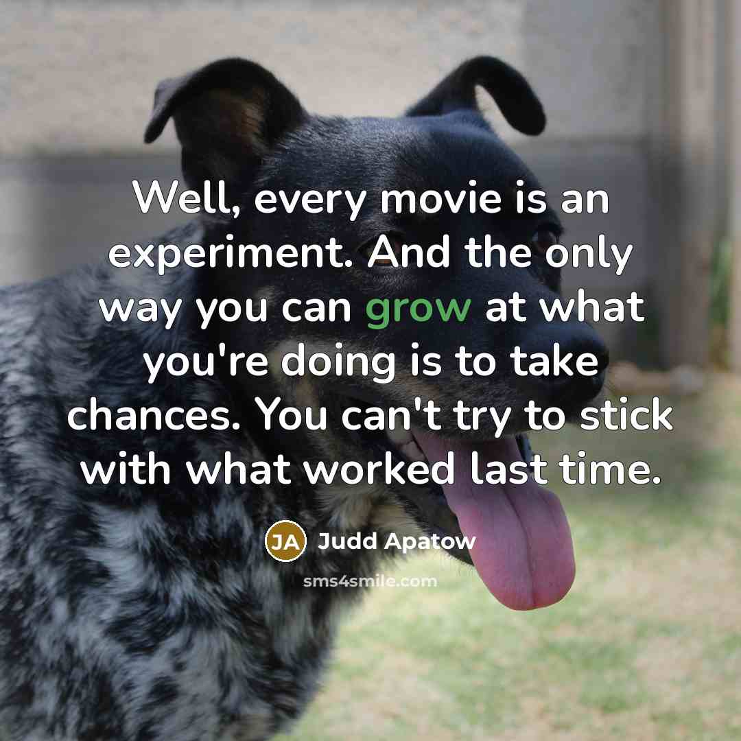 “Well, every movie is an experiment. And the only way you can grow at what you're doing is to take chances. You can't try to stick with what worked last time.” quote by Judd Apatow