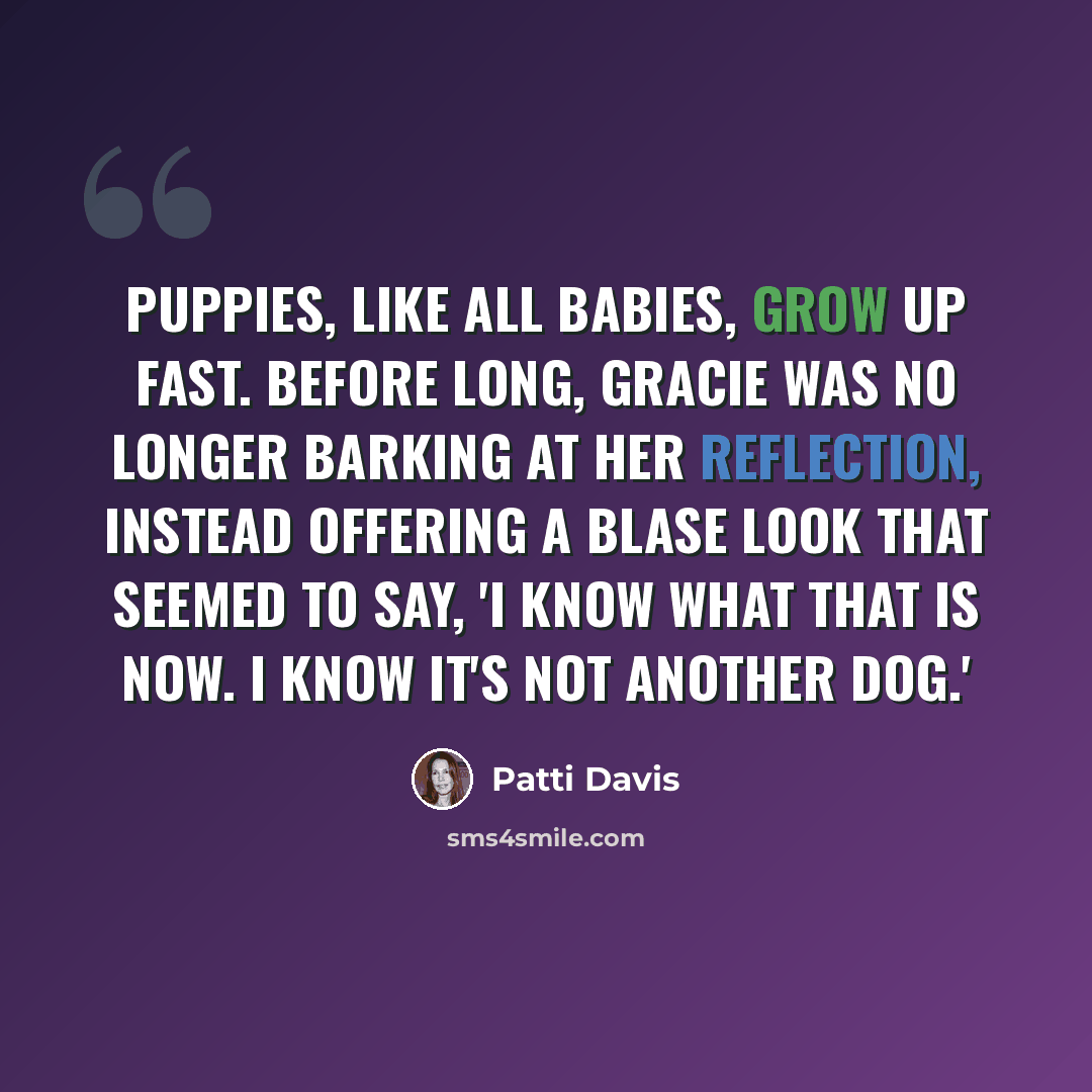 “Puppies, like all babies, grow up fast. Before long, Gracie was no longer barking at her reflection, instead offering a blase look that seemed to say, 'I know what that is now. I know it's not another dog.'” quote by Patti Davis