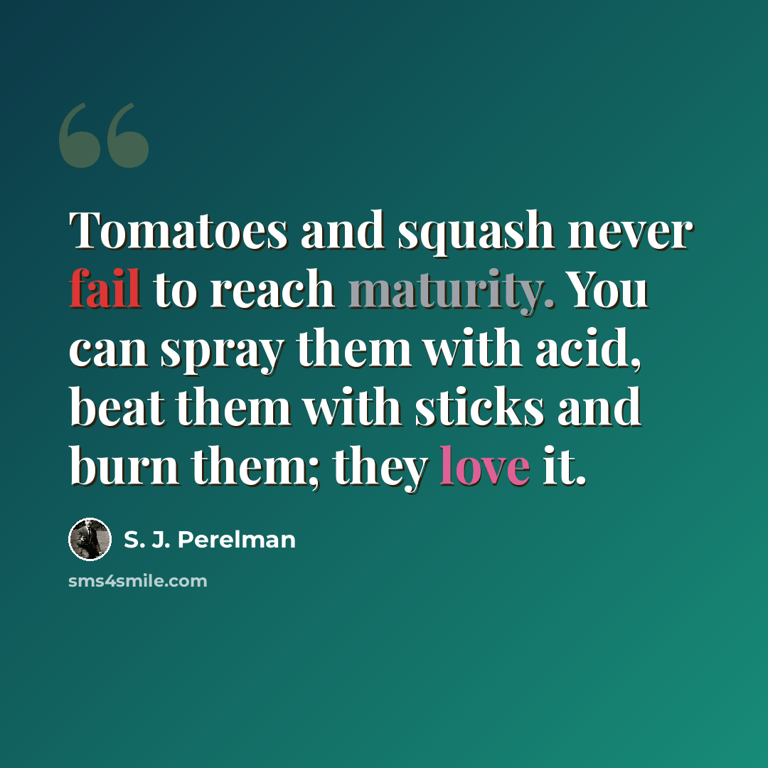 “Tomatoes and squash never fail to reach maturity. You can spray them with acid, beat them with sticks and burn them; they love it.” quote by S. J. Perelman