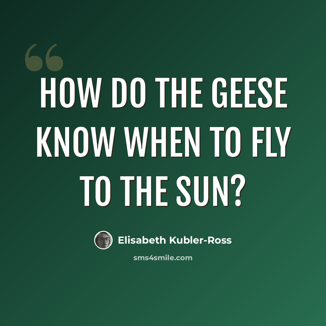 “How do the geese know when to fly to the sun?” quote by Elisabeth Kubler-Ross