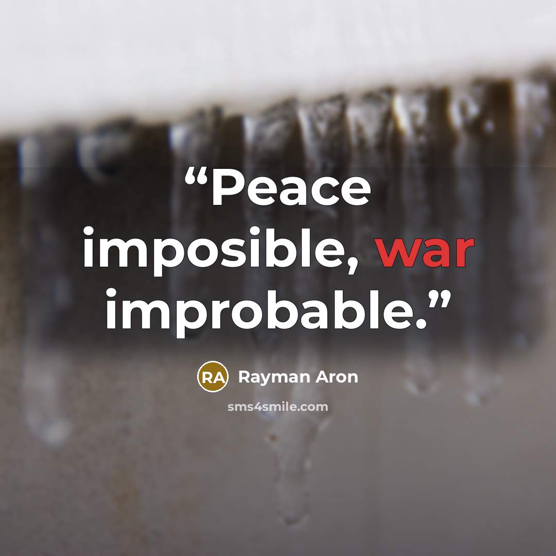 “Peace imposible, war improbable.” quote by Rayman Aron