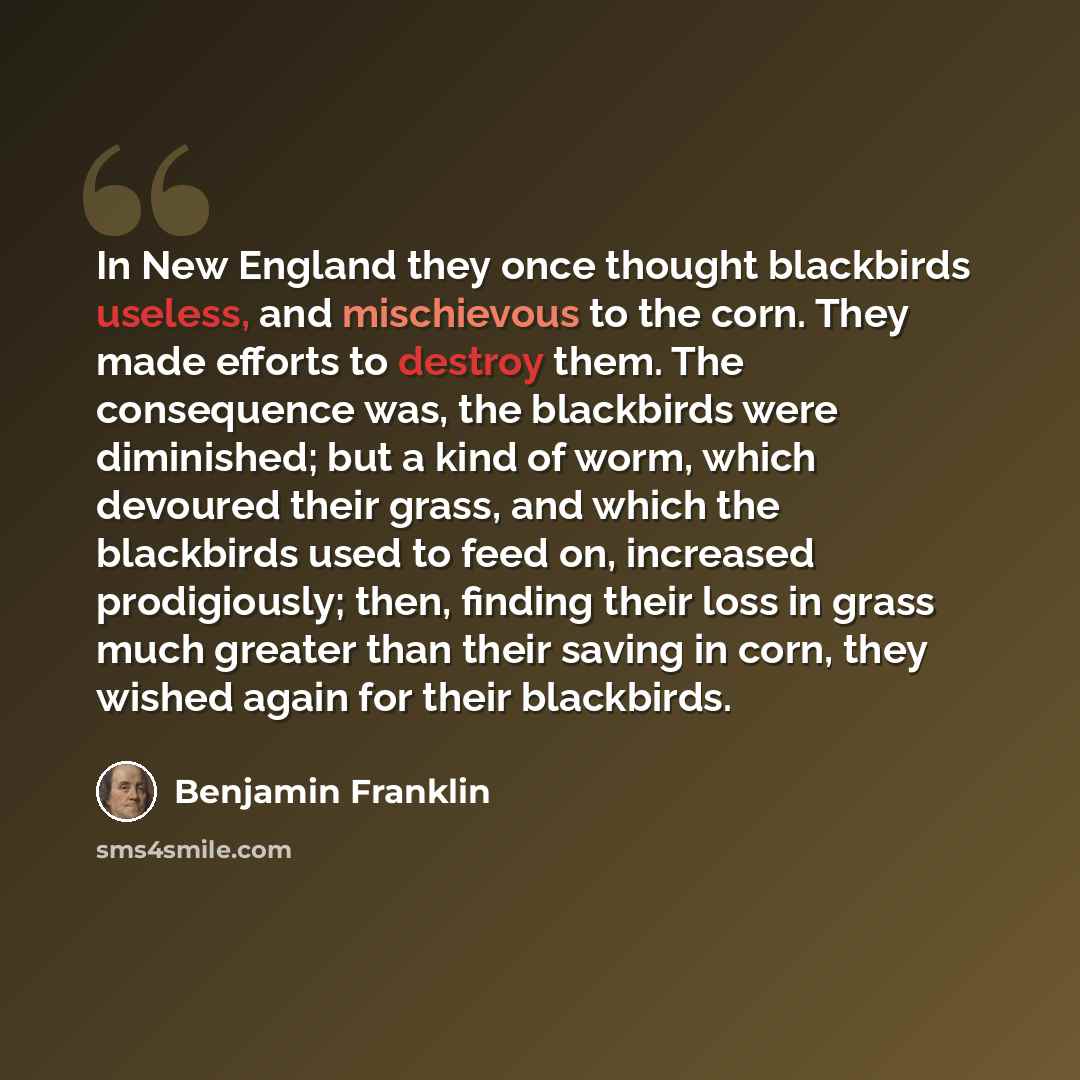 “In New England they once thought blackbirds useless, and mischievous to the corn. They made efforts to destroy them. The consequence was, the blackbirds were diminished; but a kind of worm, which devoured their grass, and which the blackbirds used to feed on, increased prodigiously; then, finding…” quote by Benjamin Franklin