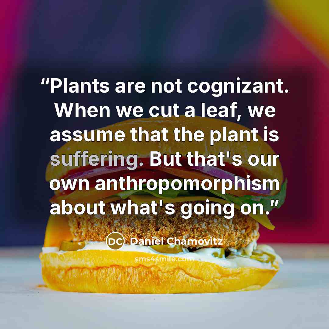 “Plants are not cognizant. When we cut a leaf, we assume that the plant is suffering. But that's our own anthropomorphism about what's going on.” quote by Daniel Chamovitz