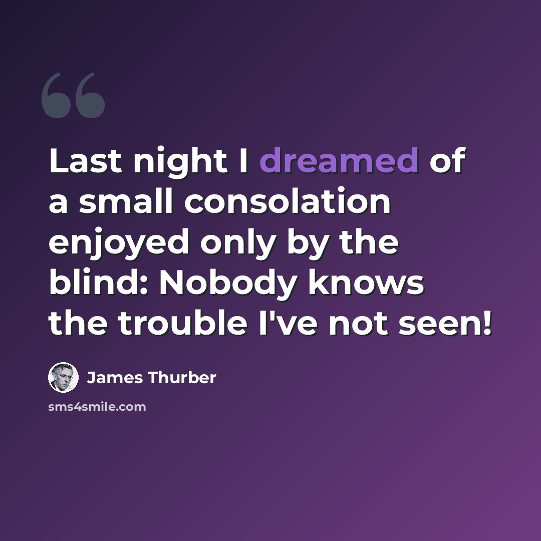 “Last night I dreamed of a small consolation enjoyed only by the blind: Nobody knows the trouble I've not seen!” quote by James Thurber