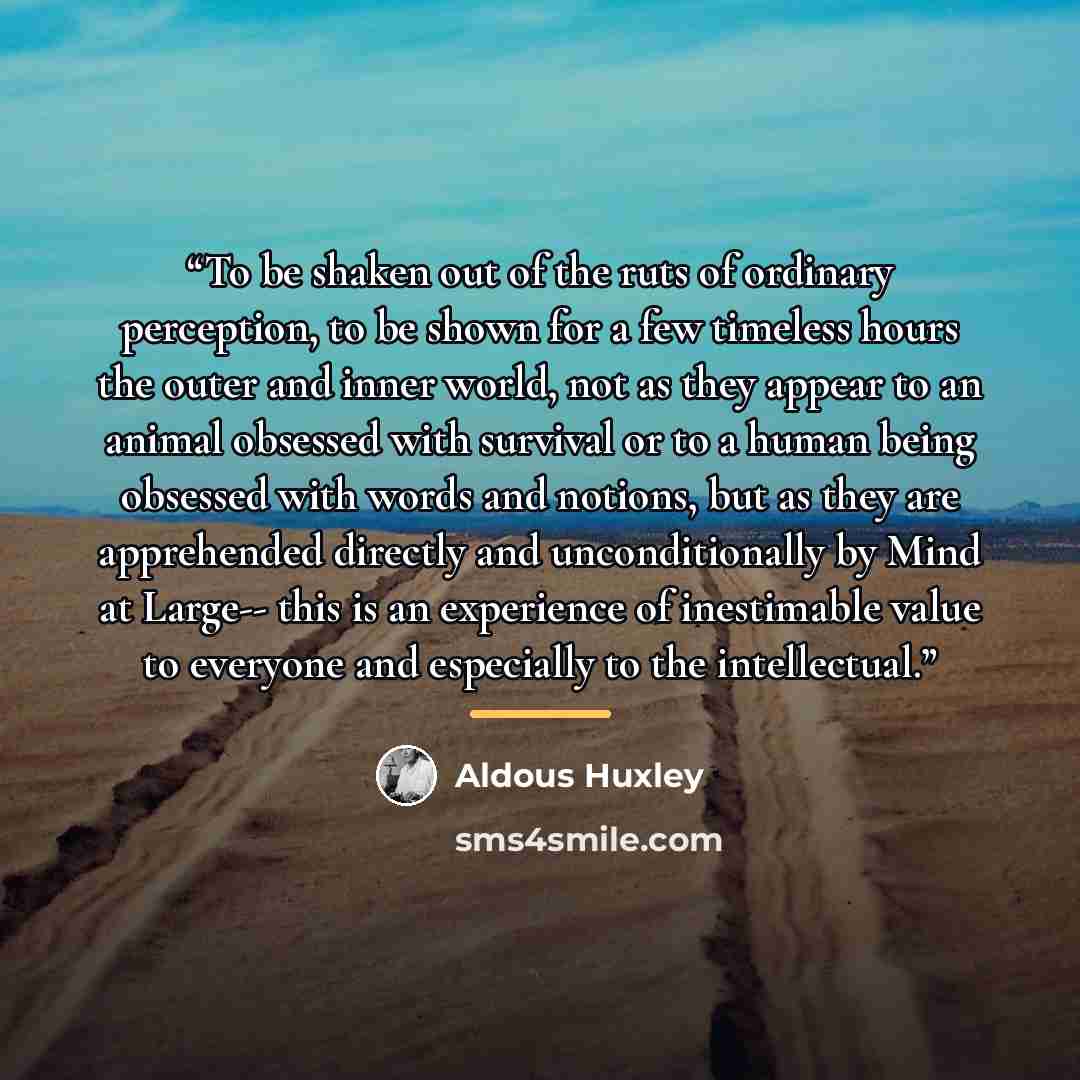 “To be shaken out of the ruts of ordinary perception, to be shown for a few timeless hours the outer and inner world, not as they appear to an animal obsessed with survival or to a human being obsessed with words and notions, but as they are apprehended directly and unconditionally by Mind at…” quote by Aldous Huxley