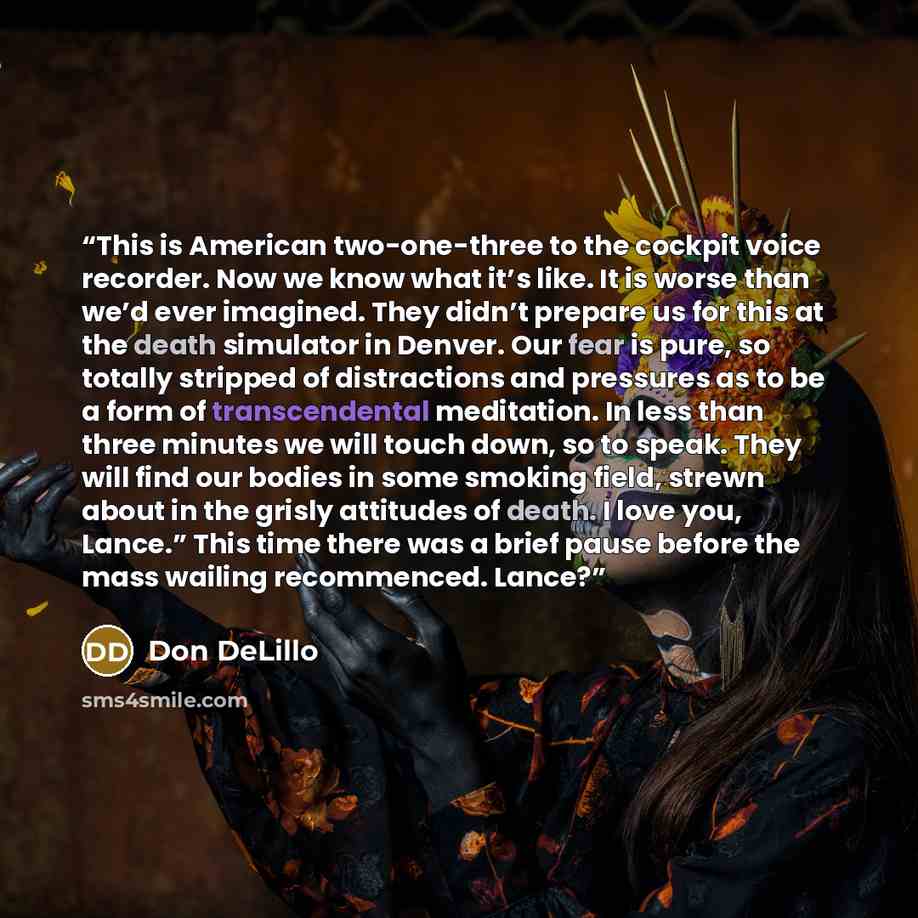 “This is American two-one-three to the cockpit voice recorder. Now we know what it’s like. It is worse than we’d ever imagined. They didn’t prepare us for this at the death simulator in Denver. Our fear is pure, so totally stripped of distractions and pressures as to be a form of transcendental…” quote by Don DeLillo