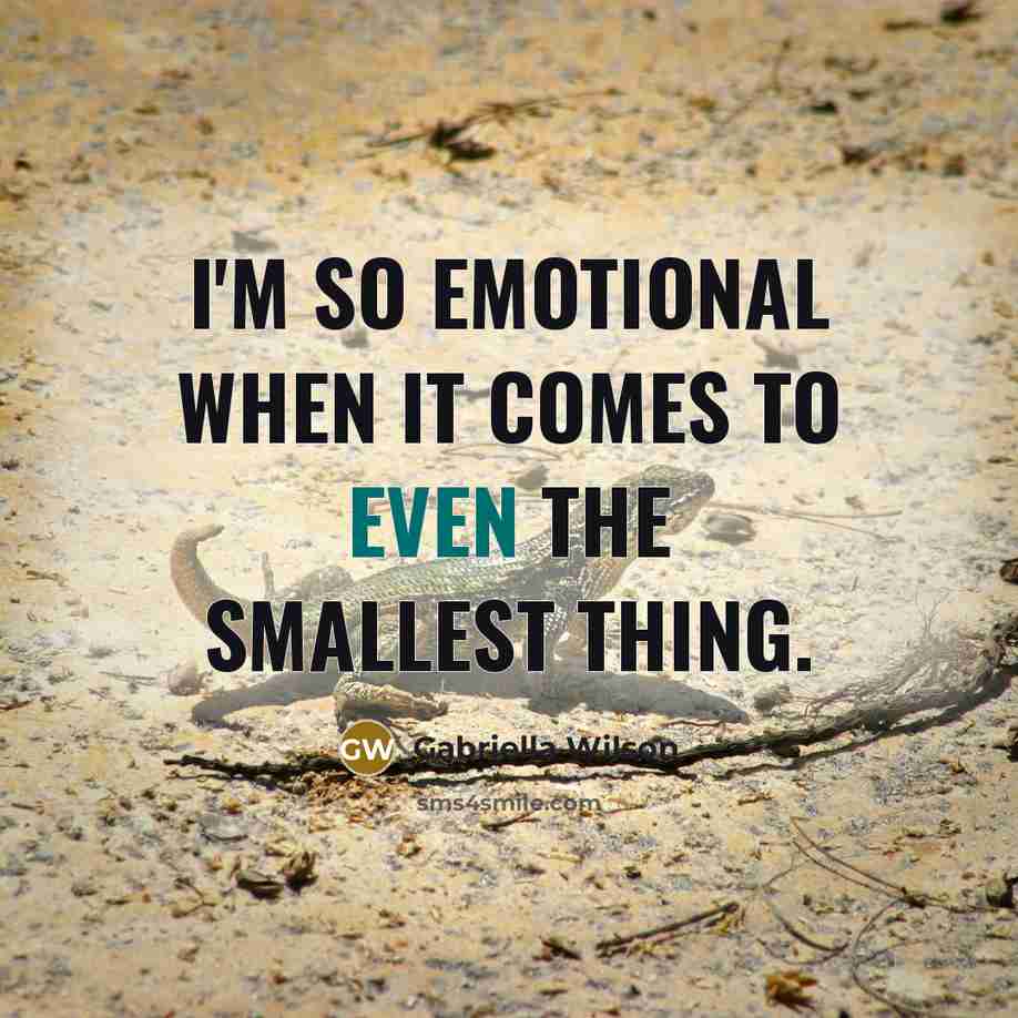 “I'm so emotional when it comes to even the smallest thing.” quote by Gabriella Wilson
