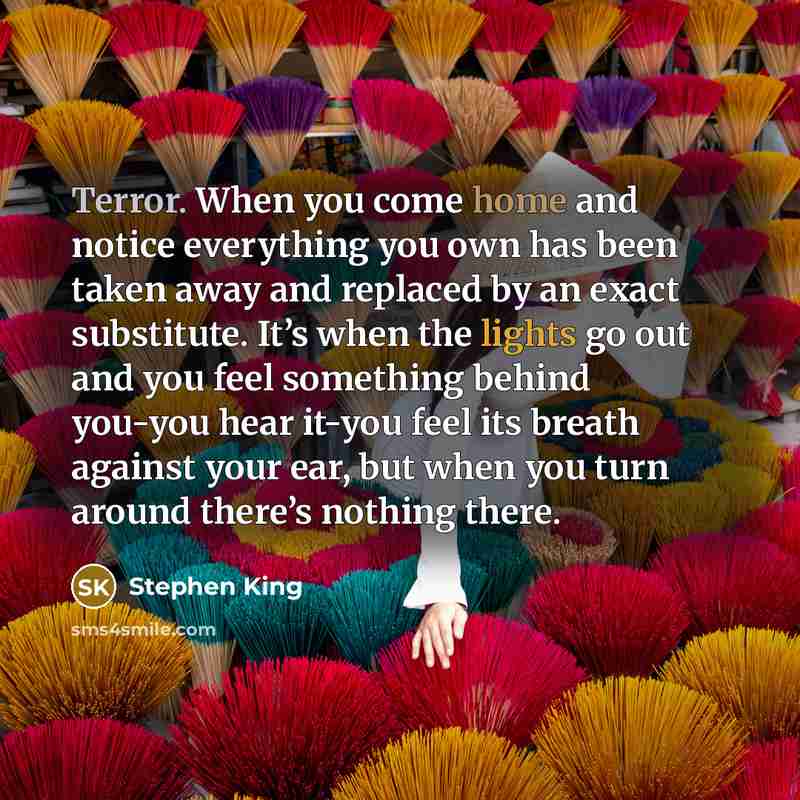 “Terror. When you come home and notice everything you own has been taken away and replaced by an exact substitute. It’s when the lights go out and you feel something behind you-you hear it-you feel its breath against your ear, but when you turn around there’s nothing there.” quote by Stephen King