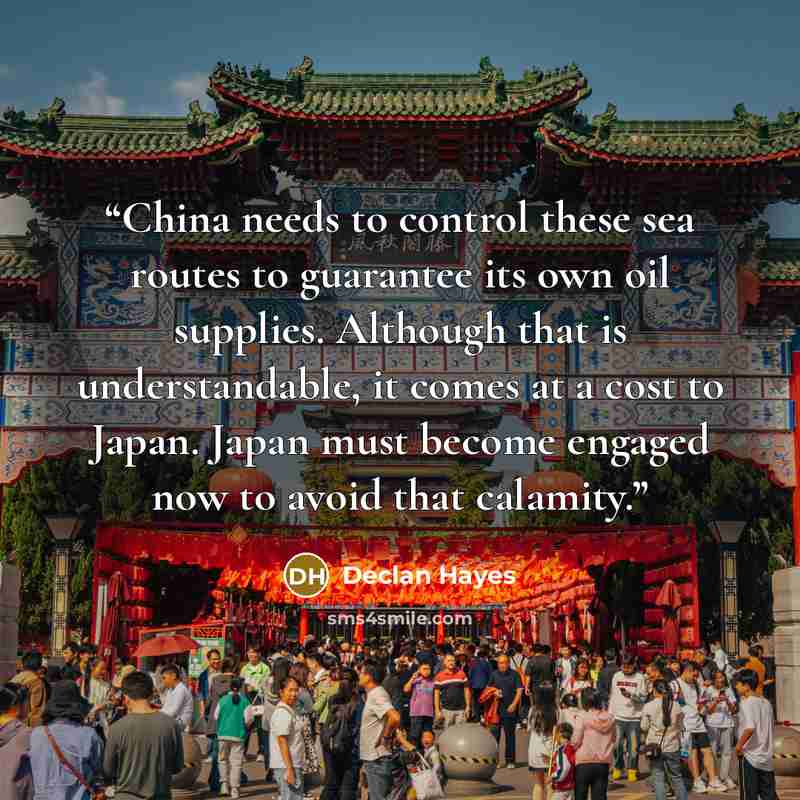 “China needs to control these sea routes to guarantee its own oil supplies. Although that is understandable, it comes at a cost to Japan. Japan must become engaged now to avoid that calamity.” quote by Declan Hayes